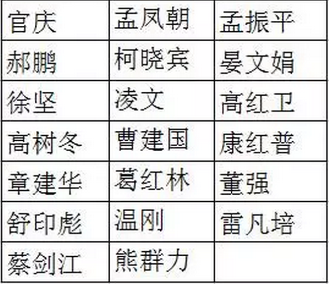 國網(wǎng)、國電投、大唐、神華、三峽等8家能源企業(yè)，總計29家央企大佬入選十九大代表