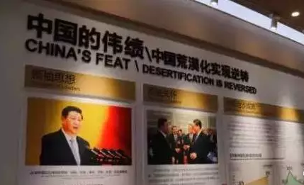 光伏板下搞養(yǎng)殖拼出“沙漠綠洲” 給21億人帶來(lái)希望！