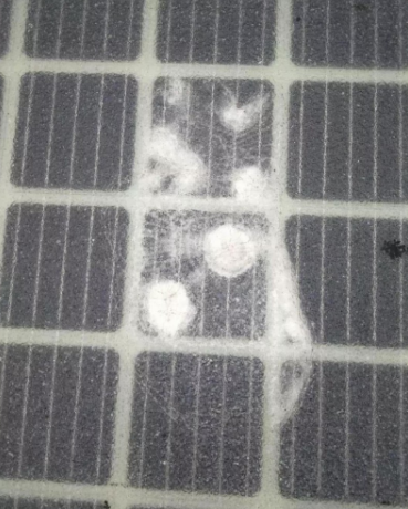 開通僅三天 全球首條光伏高路公路遭人為破壞！
