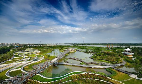 百家知名光伏企業(yè)集聚揚(yáng)中，探討商業(yè)合作模式，推動綠色能源發(fā)展